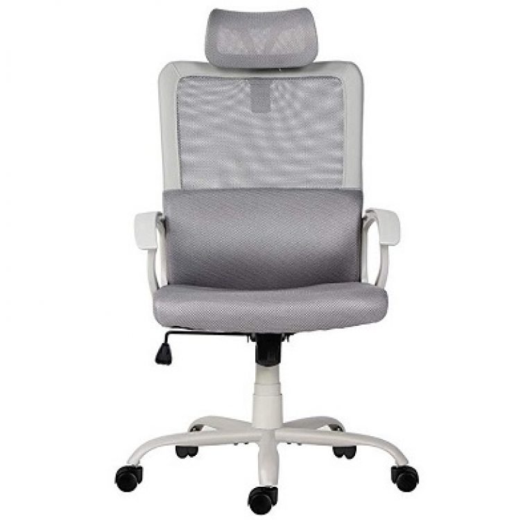 Best ergonomic office chairs for scoliosis in 2020 Good Posture HQ