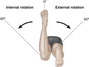 External hip rotation