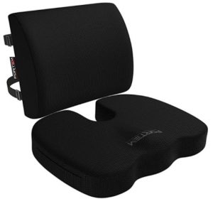 Fortem Seat Cushion and Lumbar Support